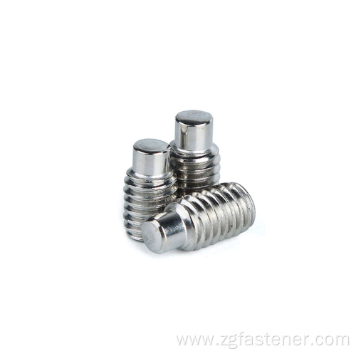 Stainless Steel set screws with dog point